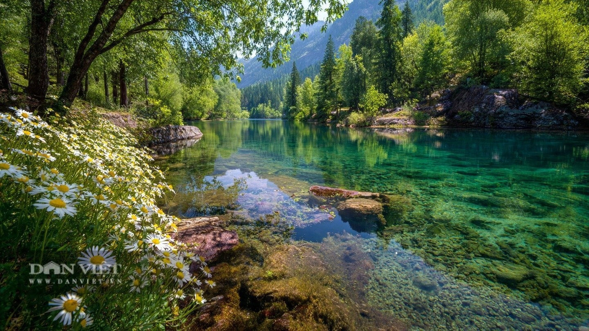 Giấc mơ thấy nước trong vắt như gương phản chiếu sự chân thành và cởi mở.