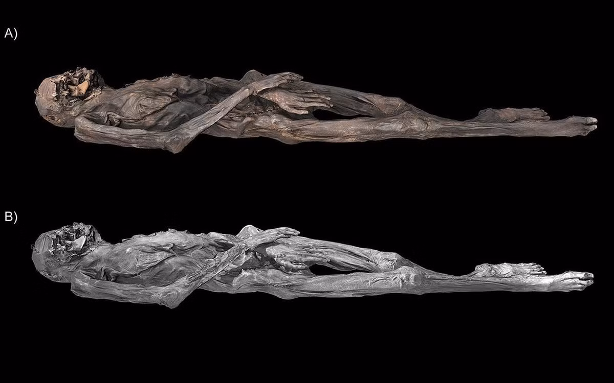 Nền văn hóa du mục Pazyryk là một phần của đế chế Scythia cổ đại. Người Pazyryk đã phát triển mạnh mẽ vào thời Đồ sắt (từ thế kỷ thứ 6 trước Công nguyên đến thế kỷ thứ 2 trước Công nguyên). Ảnh: G. Caspari et al., Antiquity (2025).