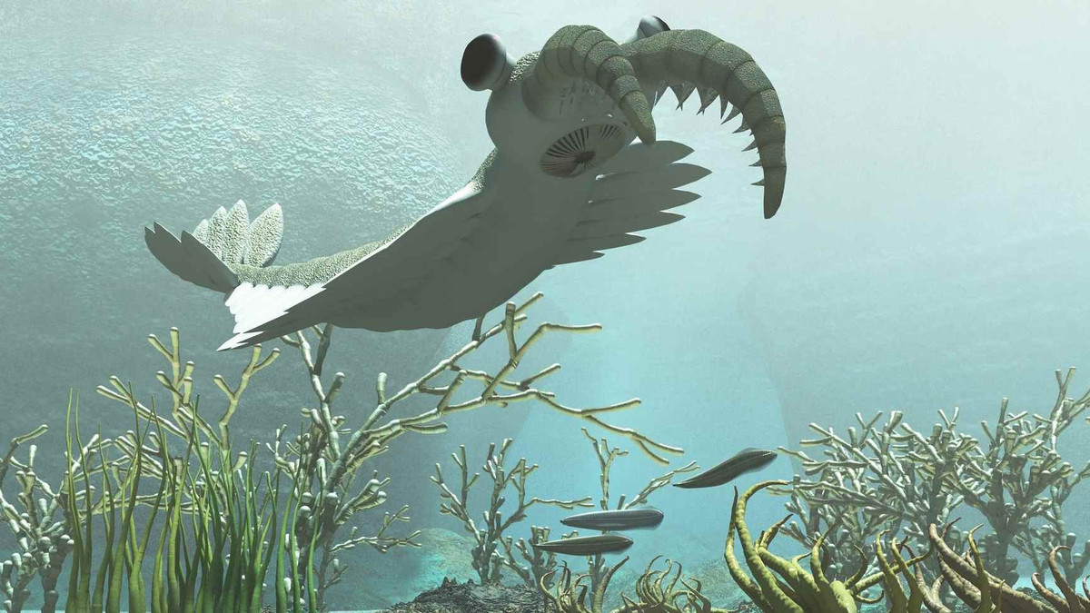 "Các nhà khoa học đã tìm kiếm phản ứng này trong một thời gian dài nhưng đây là lần đầu tiên chúng tôi có bằng chứng thuyết phục cho thấy nó đang diễn ra trên Trái đất và có lẽ đã từng xảy ra vào thời điểm địa cầu còn ở giai đoạn sơ khai", nhóm nghiên cứu cho hay. Ảnh: news.cgtn.com.