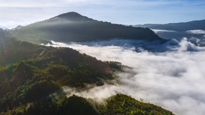 Chiếc rìu nhanh chóng thu hút sự quan tâm của các chuyên gia bởi thiết kế khác thường và tay nghề thủ công đặc biệt. Hartatik, thành viên Banjar Regency Cultural Heritage Expert Team (TACB), nhấn mạnh chiếc rìu hình nón, gọi là 'Gigi Petir' hay 'Untu Gledek', là một hiện vật có ý nghĩa văn hóa và lịch sử. Ảnh: GETTY.