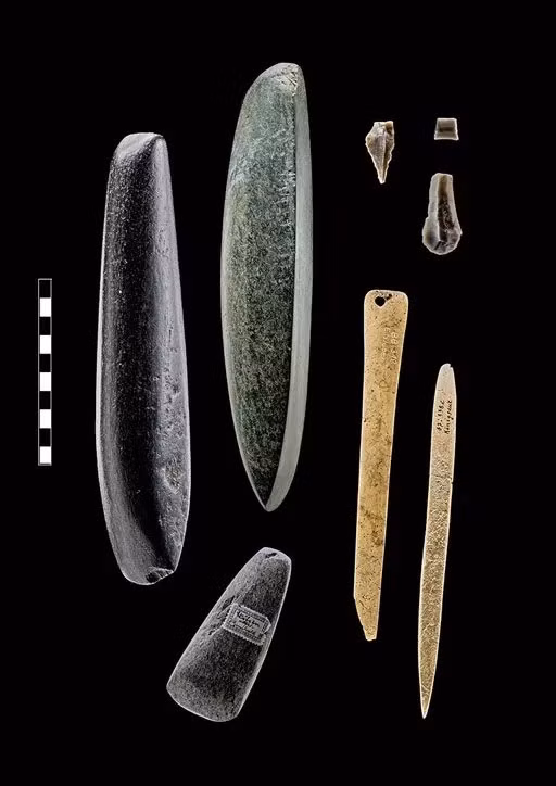 Địa điểm này được phát hiện vào những năm 1970 và đã được khai quật rộng rãi kể từ đó. Phân tích địa từ gần đây cho thấy ngôi làng trải rộng trên diện tích khoảng 8 hecta và có thể là khu định cư lớn nhất trong khu vực vào thời điểm đó. Ảnh: Landesamt für Denkmalpflege und Archäologie Sachsen-Anhalt, J. Lipták.