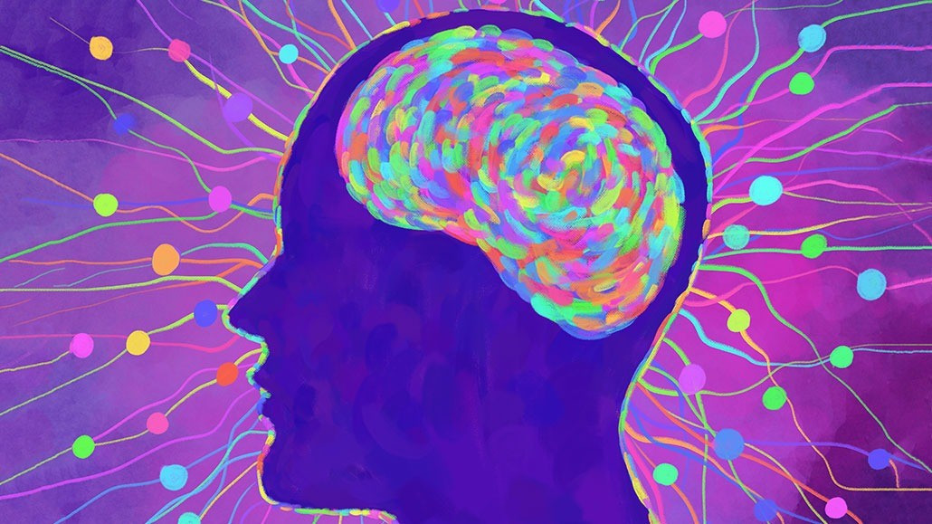 Giáo sư Smith lập luận rằng, hầu hết mọi việc chúng ta làm đều liên quan đến nhiều giác quan. "Những gì chúng ta cảm nhận ảnh hưởng đến những gì chúng ta nhìn thấy và những gì chúng ta nhìn thấy ảnh hưởng đến những gì chúng ta nghe thấy", Giáo sư Smith giải thích. Ảnh: Elena Medvedeva/iStock/Getty Images Plus.