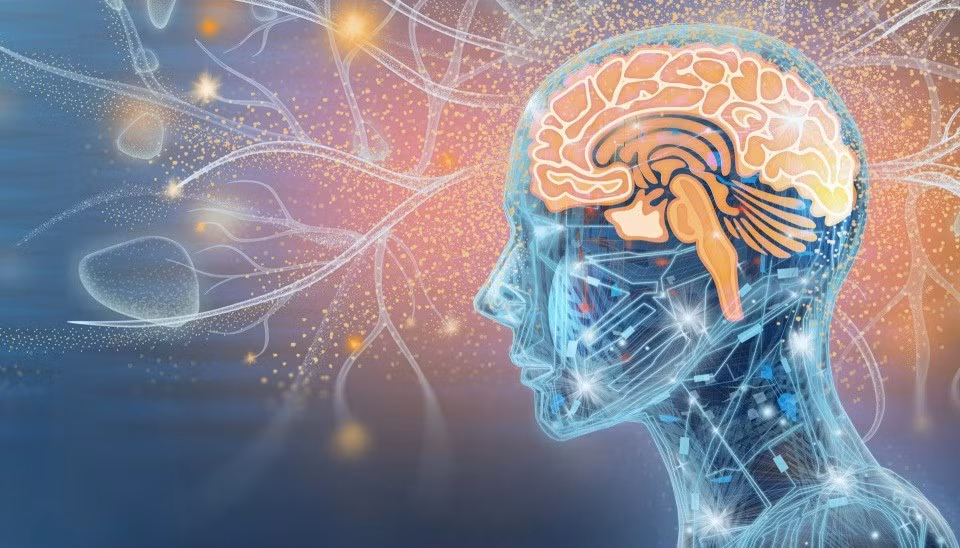 Tiếp đến, phần lớn cái mà ta gọi là "hương vị" đến từ khứu giác. Tuy nhiên, đây không phải là việc hít ngửi mùi từ môi trường bên ngoài mà là quá trình các hợp chất mùi được giải phóng khi ta nhai hoặc nuốt, di chuyển từ vòm miệng lên mũi qua đường thông phía sau cổ họng (nasal pharynx). Xúc giác đóng vai trò kết dính, tạo nên sở thích của mỗi người về độ lỏng của lòng đỏ trứng hay độ mềm mịn tan chảy của chocolate. Ảnh: Grafissimo/DigitalVision Vectors via Getty Images.