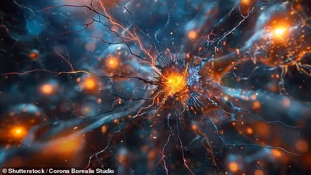 Tuy nhiên, mới đây, Giáo sư Barry Smith, Giám đốc Viện Triết học tại Đại học London, cho rằng, con người không chỉ có 5 giác quan. Thay vào đó, mỗi người có từ 22 - 33 giác quan. Ảnh: Shutterstock/Corona Borealis Studio.