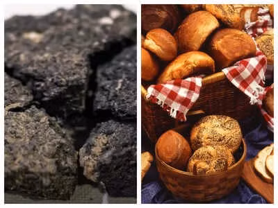 Các phân tích của giới chuyên gia chỉ ra chiếc bánh mì khoảng 5.000 tuổi được làm từ bột lúa mì emmer xay thô (một giống lúa mì cổ), hạt đậu lăng và một loại lá cây dùng làm men tự nhiên. Ảnh: timesofindia.