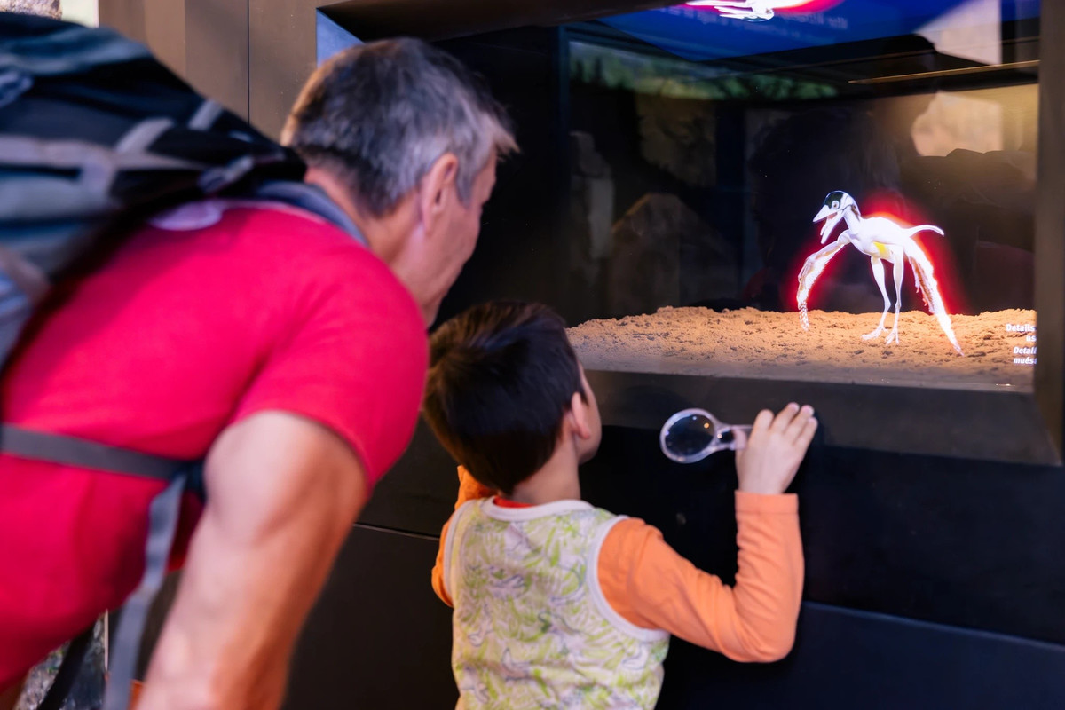 Các chuyên gia cho biết loài khủng long biết bay này có thể đã sống sót sau đợt tuyệt chủng hàng loạt xảy ra khi một tiểu hành tinh đâm xuống Trái đất cách đây 66 triệu năm. Ảnh: Kyle Flubacker 2024.