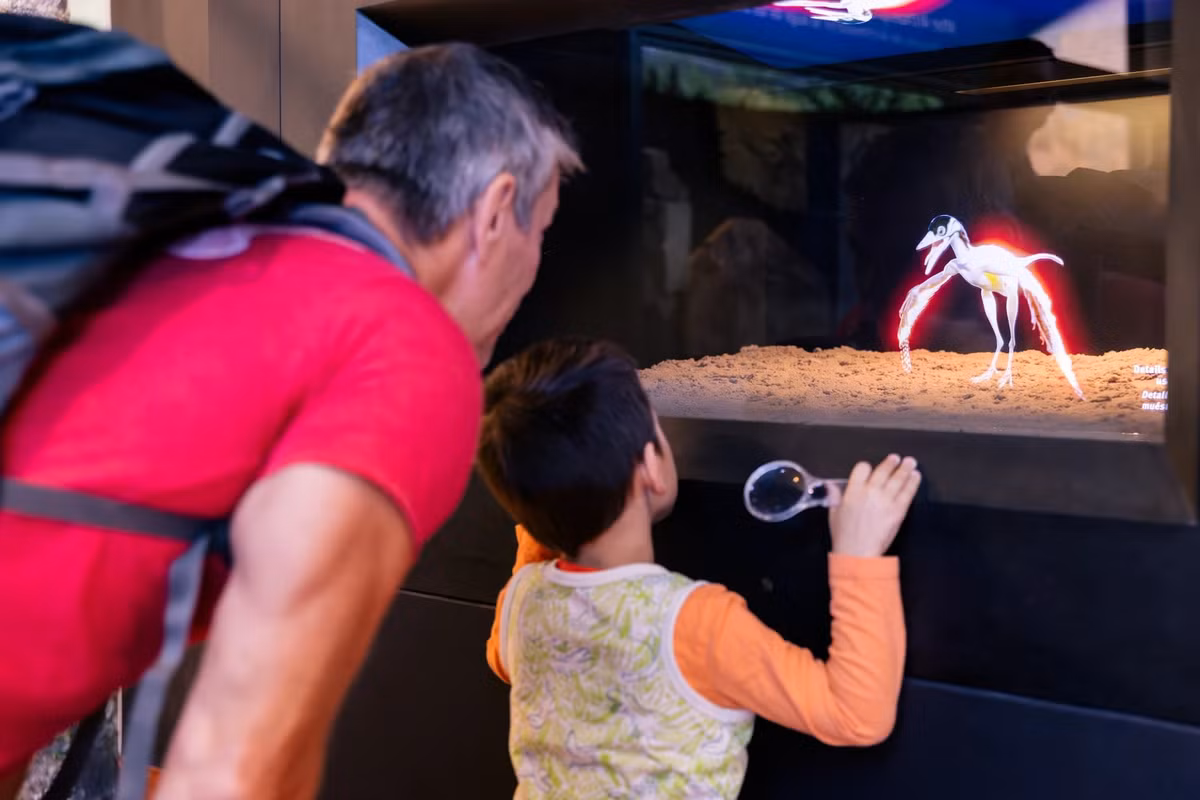 Các chuyên gia cho biết loài khủng long biết bay này có thể đã sống sót sau đợt tuyệt chủng hàng loạt xảy ra khi một tiểu hành tinh đâm xuống Trái đất cách đây 66 triệu năm. Ảnh: Kyle Flubacker 2024.