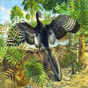 Theo nhóm nghiên cứu thuộc Bảo tàng Field, đây là lần đầu tiên toàn bộ hóa thạch "Chicago Archaeopteryx" được chụp CT. Kết quả chụp CT hé lộ mẫu vật hoàn chỉnh với nhiều chi tiết chưa từng có ở bất kỳ hóa thạch Archaeopteryx nào trước đây. Ảnh: Michael Rothman.