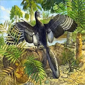 Theo nhóm nghiên cứu thuộc Bảo tàng Field, đây là lần đầu tiên toàn bộ hóa thạch "Chicago Archaeopteryx" được chụp CT. Kết quả chụp CT hé lộ mẫu vật hoàn chỉnh với nhiều chi tiết chưa từng có ở bất kỳ hóa thạch Archaeopteryx nào trước đây. Ảnh: Michael Rothman.