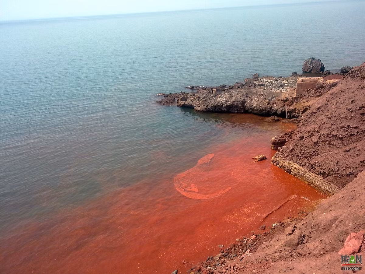 Nhiều người tò mò không biết điều gì xảy ra tại bãi biển Silver and Red khiến nước biển có màu đỏ như máu.