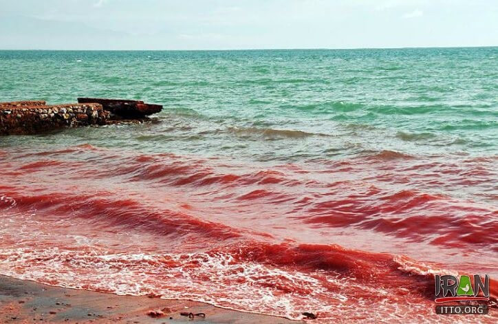 Liên quan đến sự việc này, các chuyên gia cho hay sự việc xảy ra tại bãi biển Silver and Red không phải là điều bí ẩn.