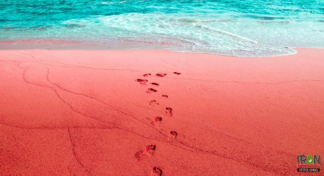 Sau một thời gian, bãi biển Silver and Red trở lại bình thường và nước biển trong xanh như nhiều nơi khác trên thế giới. Ảnh: itto.org.