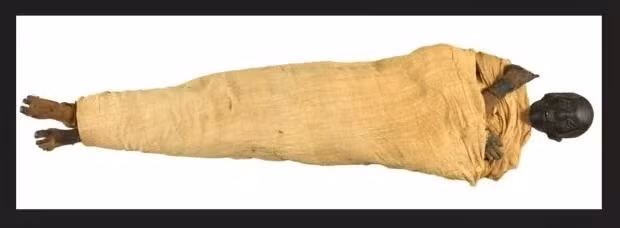 Từ đây, các nhà nghiên cứu tin rằng, lăng mộ của pharaoh Thutmose II nằm ở gần nơi phát hiện chiếc rương và hộp gỗ trong khu vực Deir el-Bahari. Ảnh: National Museum of Egyptian Civilization.