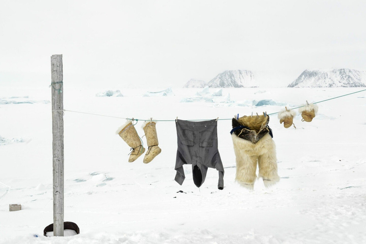 Để trở thành thợ săn chuyên nghiệp, các bé trai người Inuit phải học việc bên thợ săn lành nghề, học cách điều khiển bầy chó kéo xe. Thêm nữa, họ cũng học cách hiểu con mồi, hành vi và thói quen di chuyển của chúng, cách chúng thay đổi theo mùa. Việc trở thành thợ săn là điều mà hầu hết đàn ông Inuit hướng tới. Ảnh: Tiina Itkonen, Justin Lewis.