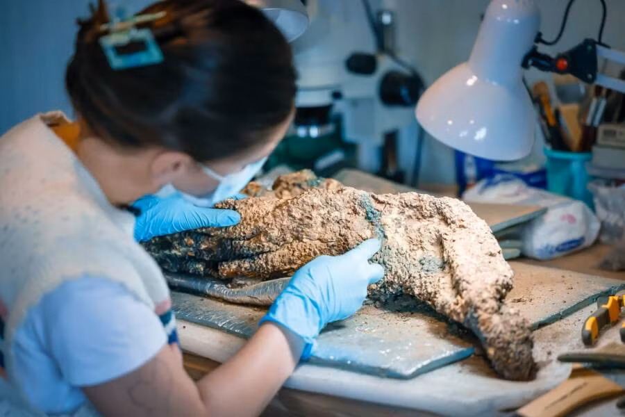 Theo các chuyên gia, 2 hiện vật trên có niên đại vào thế kỷ thứ 9 hoặc 10. Chúng và được bảo quản cực kỳ tốt so với nhiều hiện vật cùng thời. Ảnh: Rustavi History Museum/Facebook.