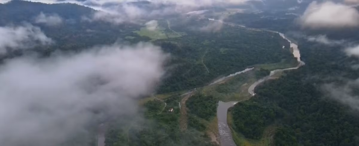 Vườn quốc gia Vườn quốc gia Vũ Quang (Hà Tĩnh) là nơi sinh sống của nhiều loài động vật quý hiếm. Mới đây, thông qua 170 điểm đặt bẫy ảnh giám sát đa dạng sinh học tại VQG Vũ Quang, các chuyên gia đã ghi nhận sự xuất hiện của nhiều loài động vật hoang dã quý hiếm. Ảnh: BHT TV.