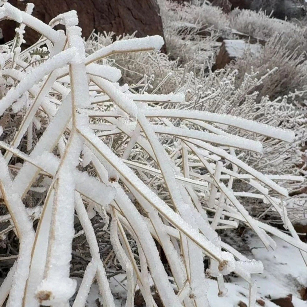 Những hình ảnh chụp tuyết rơi ở các sa mạc của Arab Saudi đã được nhiều người chia sẻ trên các mạng xã hội vào ngày 23/12. Ảnh: X.