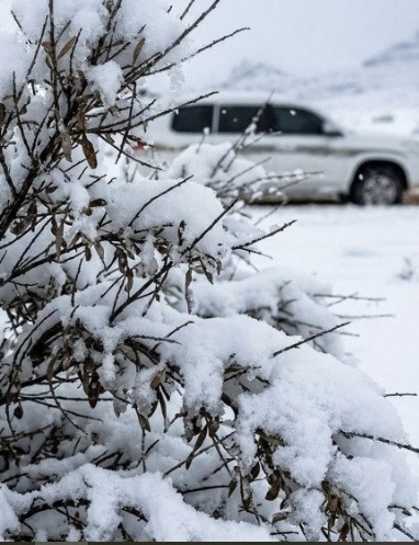 Các nhà khoa học cho hay biến đổi khí hậu đang làm xuất hiện những hiện tượng khí hậu lạ lẫm tại các khu vực vốn xa lạ với kiểu thời tiết như vậy. Ảnh: instagram.