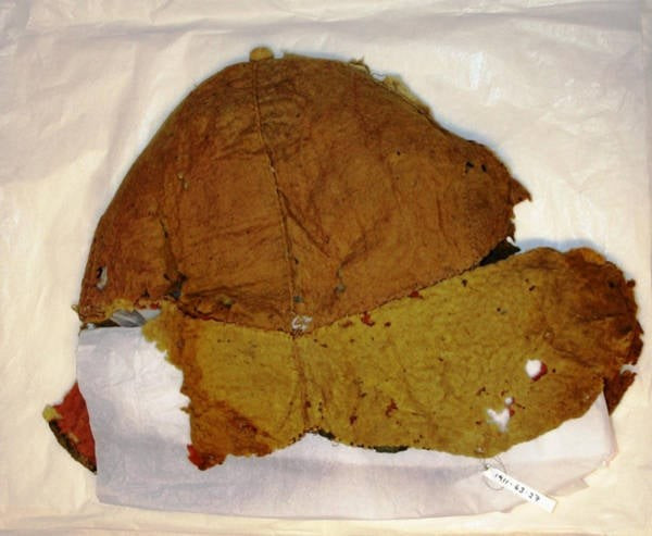 View - Phát hiện báu vật La Mã siêu hiếm 2.000 tuổi, giới khảo cổ ngỡ ngàng | Báo Tri thức và Cuộc sống - TIN TỨC PHỔ BIẾN KIẾN THỨC 24H