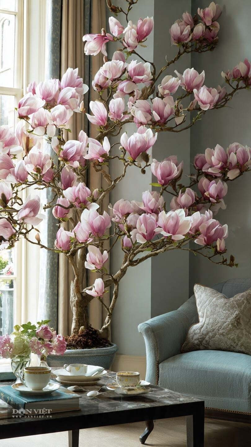 Loài hoa “chanh sả” cho không gian Tết: Dưới nắng sớm, cánh hoa mỏng ánh sương lấp lánh, tạo hiệu ứng thị giác cực kỳ ấn tượng – lý do khiến mộc lan thành hoa decor cao cấp.