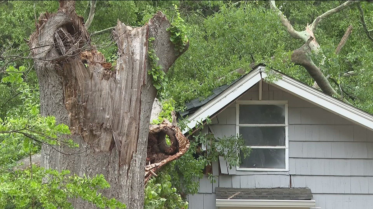 6. Có người già trong nhà: Phúc khí vượng, nhà cửa thịnh hưng. Người xưa ví "Một mẹ già bằng ba lần dậu", cho rằng nhà có người cao tuổi như giữ được kho báu. Cây thông tượng trưng cho niềm tin vào điều đó.