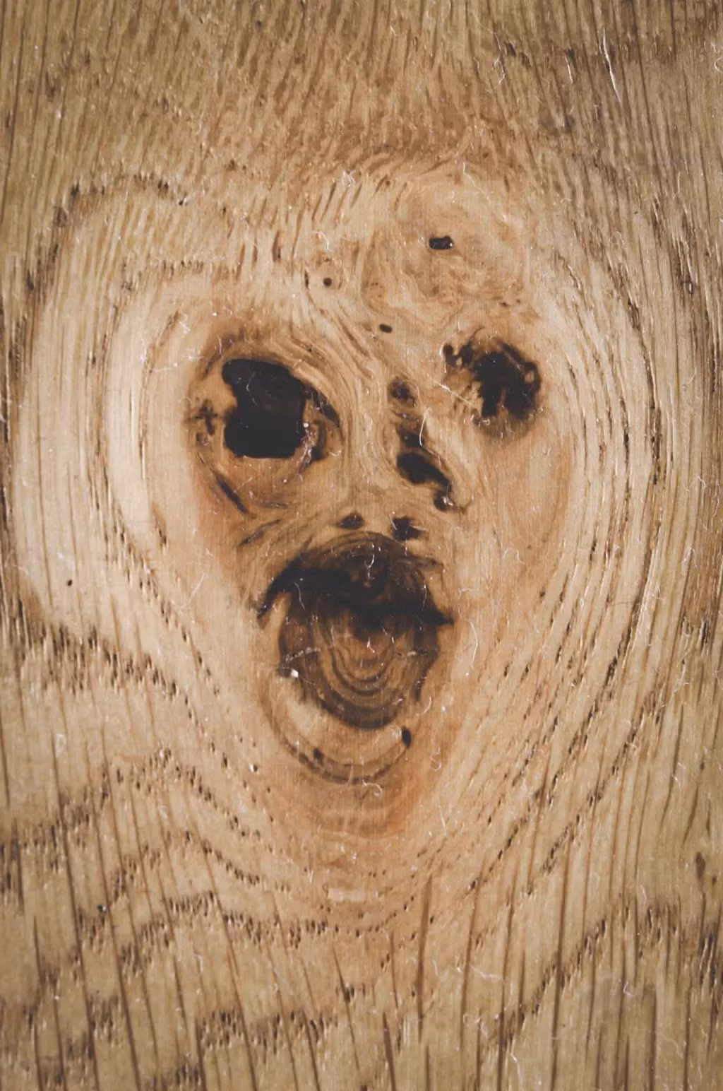 Các chuyên gia nhận định việc nhìn thấy những khuôn mặt tưởng tượng có cảm xúc khác nhau còn ảnh hưởng đến hành vi tiêu dùng. Họ dẫn chứng rằng, vào năm 2006, Wall Street Journal từng ghi nhận doanh số các mẫu ôtô có thiết kế dễ thương sụt giảm, trong khi người tiêu dùng lại ưa chuộng những mẫu xe mang diện mạo hung dữ hơn. Ảnh: Jonas Tana.