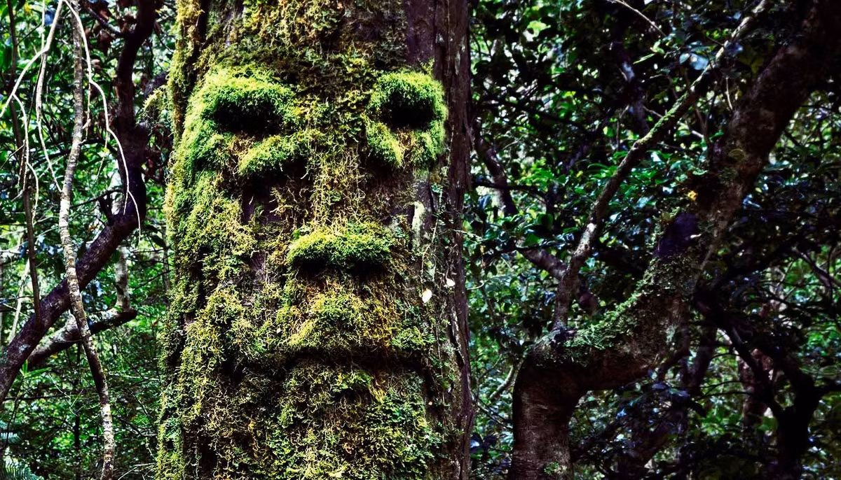 Trong đó, khi con người nhìn thấy khuôn mặt giả, các vùng não liên quan đến nhận diện khuôn mặt hoạt động tương tự như khi quan sát khuôn mặt thật. Tuy nhiên, sau một khoảng thời gian rất ngắn, não bộ sẽ tự điều chỉnh và nhận ra đó chỉ là đồ vật. Ảnh: Getty Images.