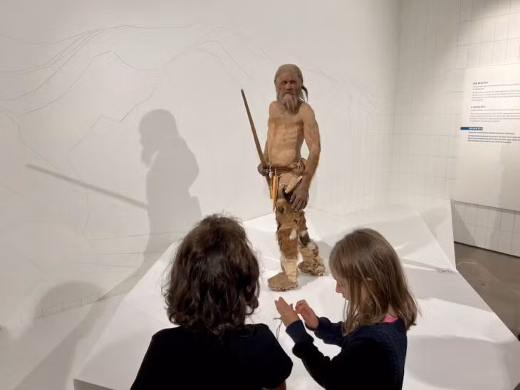 Các nhà khoa học đang bắt đầu hiểu rõ hơn về mối liên hệ mật thiết giữa lịch sử tiến hóa của HPV với lịch sử tiến hóa của loài người. Các virus thuộc họ Papillomaviridae có nguồn gốc từ thời tiền sử và đã cùng tiến hóa với vật chủ có xương sống của chúng trong khoảng thời gian dài. Ảnh: Museo Archeologico Alto Adige - Bolzano.