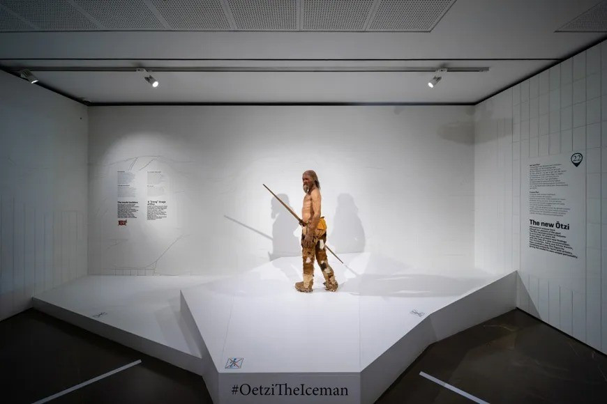 Theo các nhà nghiên cứu, quá trình tiến hóa của virus papilloma kéo dài hàng triệu năm, chủ yếu được suy luận từ mô hình đồng phân hóa giữa virus và vật chủ. Ảnh: inexhibit.com.