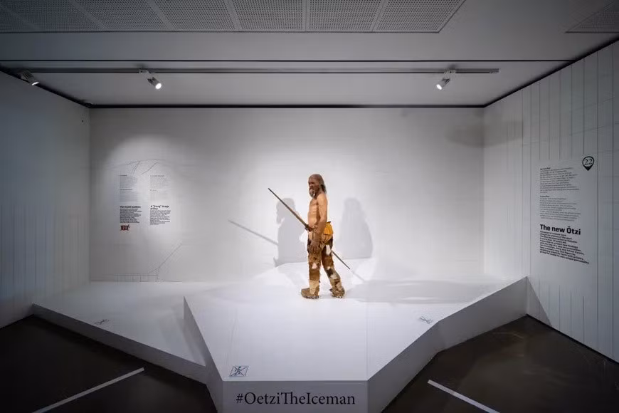 Theo các nhà nghiên cứu, quá trình tiến hóa của virus papilloma kéo dài hàng triệu năm, chủ yếu được suy luận từ mô hình đồng phân hóa giữa virus và vật chủ. Ảnh: inexhibit.com.