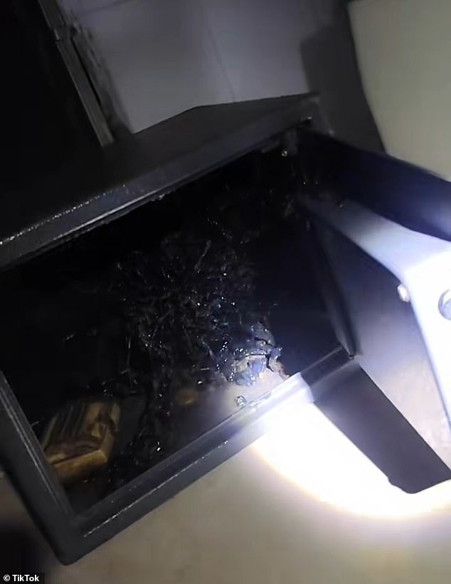 Tuy nhiên, nhiều người khác cho rằng đây là trò lừa bịp. Một người dùng mạng xã hội X bình luận: “Có những người muốn tin nhưng thực tế nó trông giống củ khoai tây”. Ảnh: TikTok.