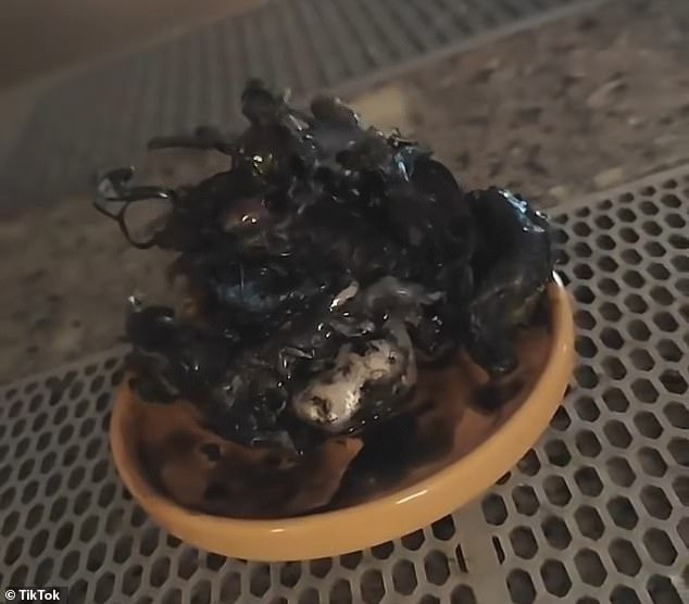 Những video của Kin được lan truyền trên mạng xã hội, thu hút cuộc tranh luận với nhiều ý kiến trái chiều. Trong đó, một số người cho rằng đây là bằng chứng về sự sống ngoài hành tinh. Ảnh: TikTok.