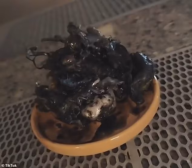 Những video của Kin được lan truyền trên mạng xã hội, thu hút cuộc tranh luận với nhiều ý kiến trái chiều. Trong đó, một số người cho rằng đây là bằng chứng về sự sống ngoài hành tinh. Ảnh: TikTok.