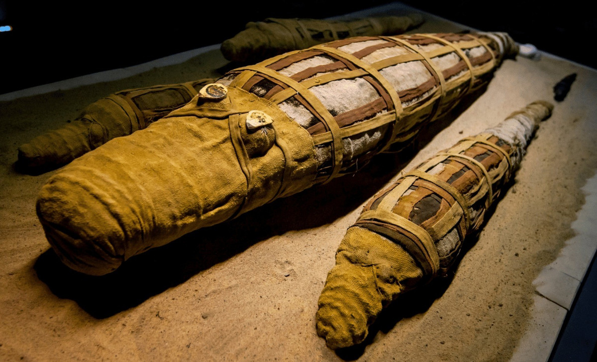 Đó chính xác là điều mà các nhà nghiên cứu tại Đại học Manchester đã làm với xác một con cá sấu từ 3.000 năm trước, dài khoảng 2,1m, được lưu giữ tại Bảo tàng và Phòng trưng bày Nghệ thuật Birmingham. Xác ướp con cá sấu này được gọi đơn giản là 2005.335. Ảnh: Shutterstock | Indian Defence Review.