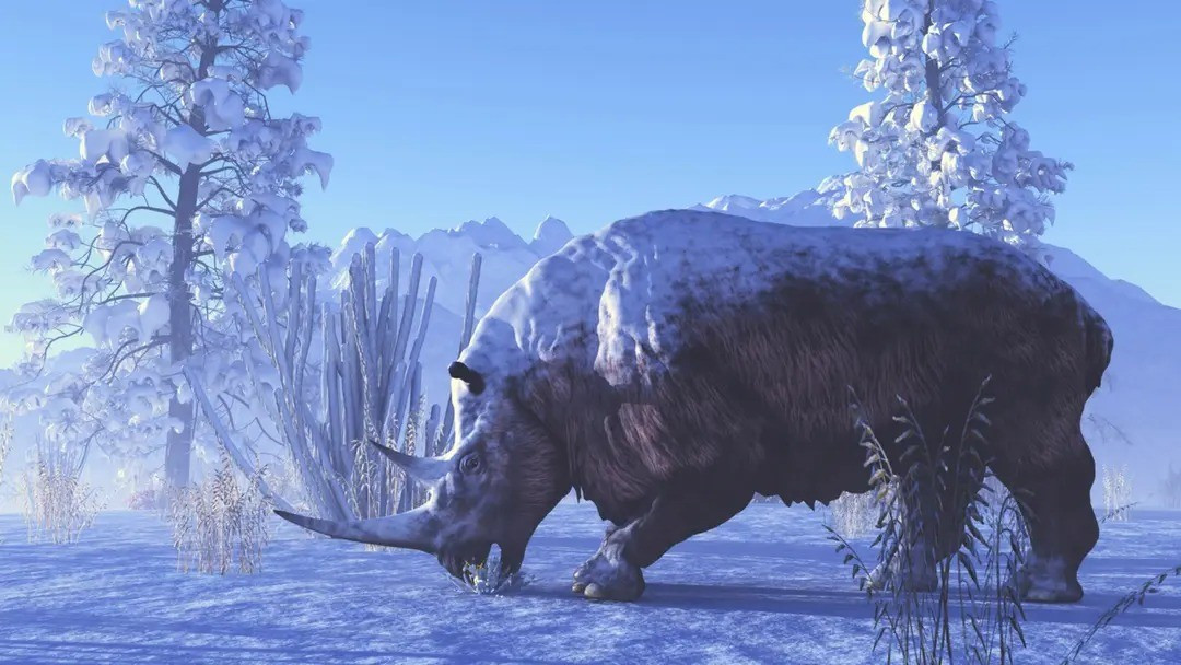 Một số chuyên gia suy đoán con chó con có thể tình cờ tìm được xác một con tê giác nhỏ. Nhiều khả năng khác là một con chó hoặc con sói trưởng thành đi cùng nó đã tấn công, ăn thịt tê giác con và chia sẻ "chiến lợi phẩm" với con chó con. Sau đó, trong lúc đang thưởng thức bữa ăn, tê giác mẹ đã báo thù, giết chết con chó con. Ảnh: iStock.