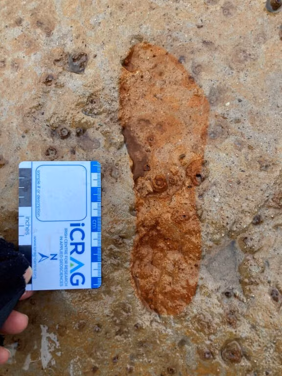 Nhóm khảo cổ học đã làm việc trong điều kiện gió giật lên tới 88,5 km/h để ghi lại các dấu chân khi địa điểm này bị xói mòn theo từng đợt thủy triều. Họ cũng sử dụng máy bay không người lái, máy ảnh và sau đó là phần mềm mô hình 3D trong phòng thí nghiệm để ghi lại hình ảnh của địa điểm khảo cổ. Ảnh: University of Aberdeen.