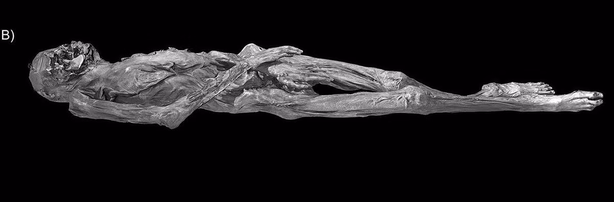 Xác ướp này được tìm thấy vào những năm 1940 và được xác định thuộc nền văn hóa Pazyryk. Trên cơ thể người phụ nữ này có những hình xăm mô tả cảnh chiến đấu của động vật và các sinh vật thần thoại, bao gồm một con vật trông giống như một con kỳ lân đầu chim. Ảnh: G. Caspari et al., Antiquity (2025).