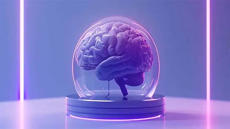 Thỉnh thoảng, các nhà nghiên cứu quan sát hàng loạt hoạt động từ organoid trước khi chúng chết, tương tự nhịp tim và hoạt động não tăng lên ở một số cá nhân khi qua đời. Ảnh: deshkalnews.com.