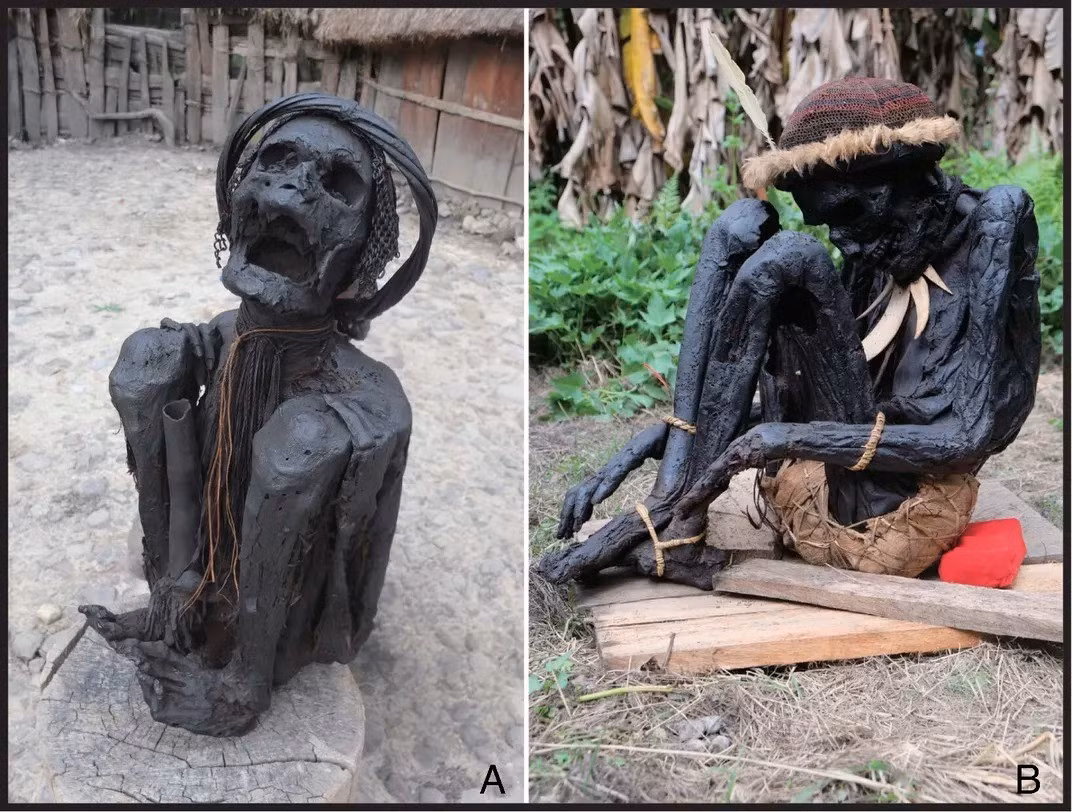 Kỹ thuật ướp xác này từng được ghi nhận ở một số cộng đồng bản địa tại Australia và vẫn còn tồn tại cho tới ngày nay ở Papua New Guinea. Ảnh: Hirofumi Matsumura and Hsiao-chun Hung.