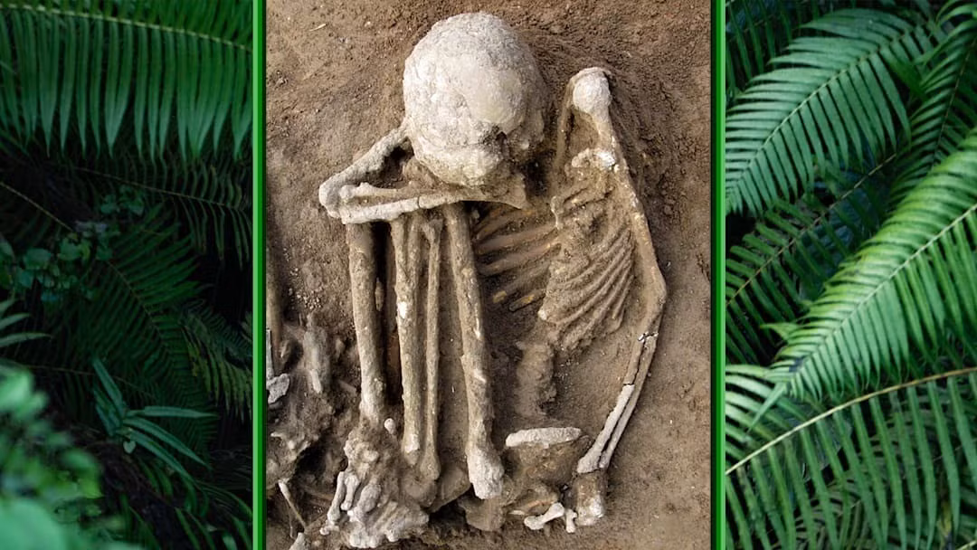 Tiến sĩ Emma L. Baysal, giảng viên Đại học Bilkent (Thổ Nhĩ Kỳ), cho biết khám phá mới cho thấy người tiền sử có hệ thống xử lý thi thể phức tạp, phản ánh những niềm tin về số phận con người sau khi chết. Ảnh: Hsiao-chun Hung (skeleton); by Tatsiana Volskaya/Moment/Getty Images (ferns).