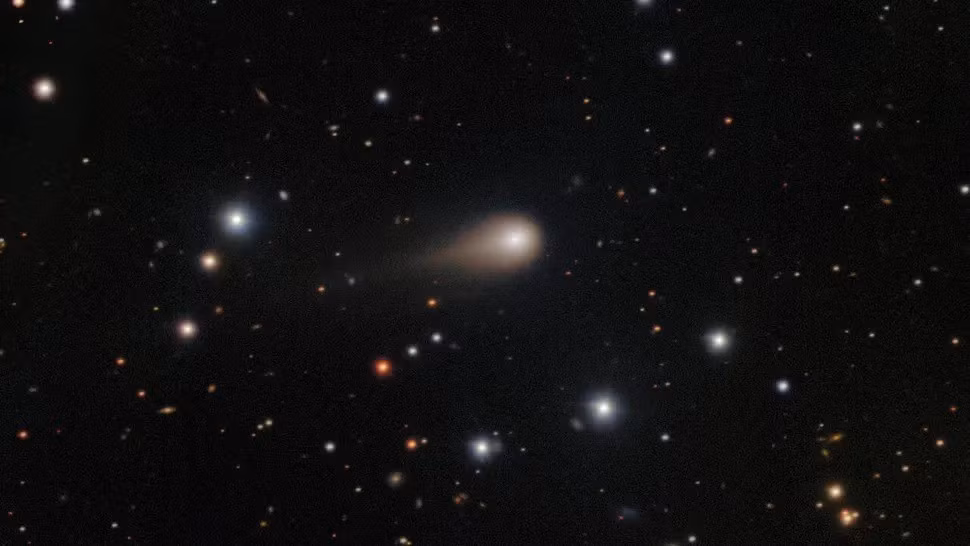 Theo nhóm nghiên cứu, đài quan sát MeerKAT, hệ thống gồm 64 ăng-ten đường kính 13,5m do Đài quan sát Thiên văn Vô tuyến Nam Phi vận hành, đã ghi nhận “sự hấp thụ OH trên các vạch 1.665 MHz và 1.667 MHz”. Đây là mẫu tần số đặc trưng của các gốc hydroxyl (OH), thường xuất hiện xung quanh các sao chổi khi chúng đến gần Mặt trời. Ảnh: International Gemini Observatory/NOIRLab/NSF/AURA/Shadow the ScientistImage Processing: J. Miller &amp; M. Rodriguez (International Gemini Observatory/NSF NOIRLab), T.A. Rector (University of Alaska Anchorage/NSF NOIRLab), M. Zamani (NSF NOIRLab).