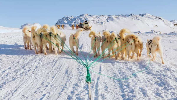 Điều này giúp giải thích tại sao Greenland có sự thay đổi hình dạng như ngày nay. Khi các tảng băng tiếp tục tan chảy, trọng lượng khổng lồ đè lên đất liền giảm đi. Khi ấy, lớp vỏ và lớp phủ bên dưới từ từ phục hồi, gây ra sự dịch chuyển của khối đất liền. Ảnh: timesofindia.