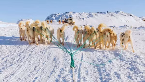 Điều này giúp giải thích tại sao Greenland có sự thay đổi hình dạng như ngày nay. Khi các tảng băng tiếp tục tan chảy, trọng lượng khổng lồ đè lên đất liền giảm đi. Khi ấy, lớp vỏ và lớp phủ bên dưới từ từ phục hồi, gây ra sự dịch chuyển của khối đất liền. Ảnh: timesofindia.
