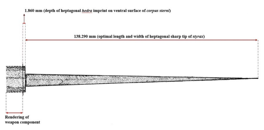 Thêm nữa, các chuyên gia kiểm tra bộ hài cốt và phát hiện khi còn sống, người đàn ông trên từng khá khỏe mạnh và có cuộc sống năng động. Ảnh: Anagnostis Agelarakis/ Access Archaeology.