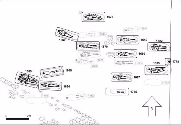 Giáo sư Dunca giải thích thêm Updown cũng nằm gần trung tâm hoàng gia Finglesham, cho thấy những kết nối này là một phần của mạng lưới hoàng gia rộng lớn hơn. Mặc dù cả 2 bộ hài cốt được nghiên cứu đều có ADN ty thể Bắc Âu nhưng phân tích nhiễm sắc thể thường của họ cho thấy dấu hiệu rõ ràng của tổ tiên không phải người châu Âu mà là ở Tây Phi. Ảnh: Illustration by Duncan Sayer et al.