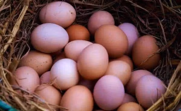 Mỗi ngày, Từ Hi Thái hậu chỉ cần 20 quả trứng