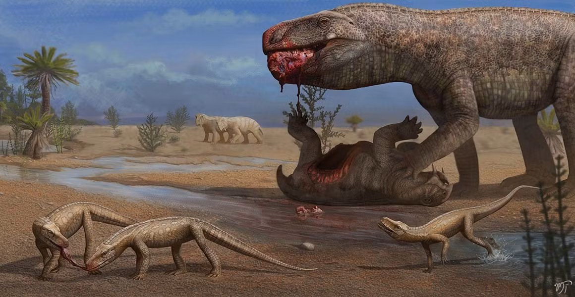 Giáo sư Varricchio rất hứng thú với hóa thạch của Elton. Hộp sọ có kích thước "tí hon" nhưng được bảo quản khá tốt giúp giải mã lịch sử tiến hóa của loài cá sấu đã tuyệt chủng. Ảnh: Matheus Fernandes.