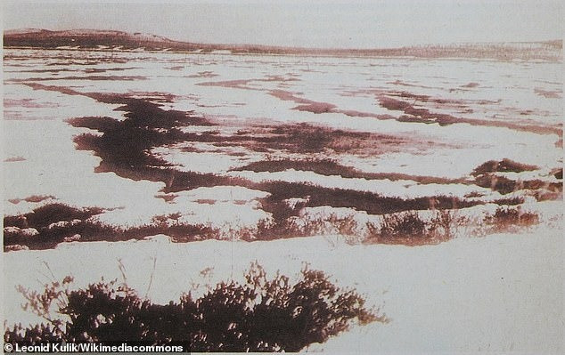 Sao chổi cũng được cho có thể là nguyên nhân gây ra vụ nổ Tunguska. Trong khi đó, một giả thuyết điên rồ hơn cho rằng, một UFO của người ngoài hành tinh đã gặp sự cố, nổ tung trên không rồi rơi xuống vùng Tunguska, Siberia. Ảnh: Leonid Kulik/Wikimedia Commons.