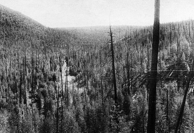 Tuyên bố của nhà nghiên Lavbin đã gây xôn xao dư luận, làm dấy lên cuộc tranh cãi về tính xác thực của việc UFO rơi xuống Trái đất. Ảnh: Mail Online.