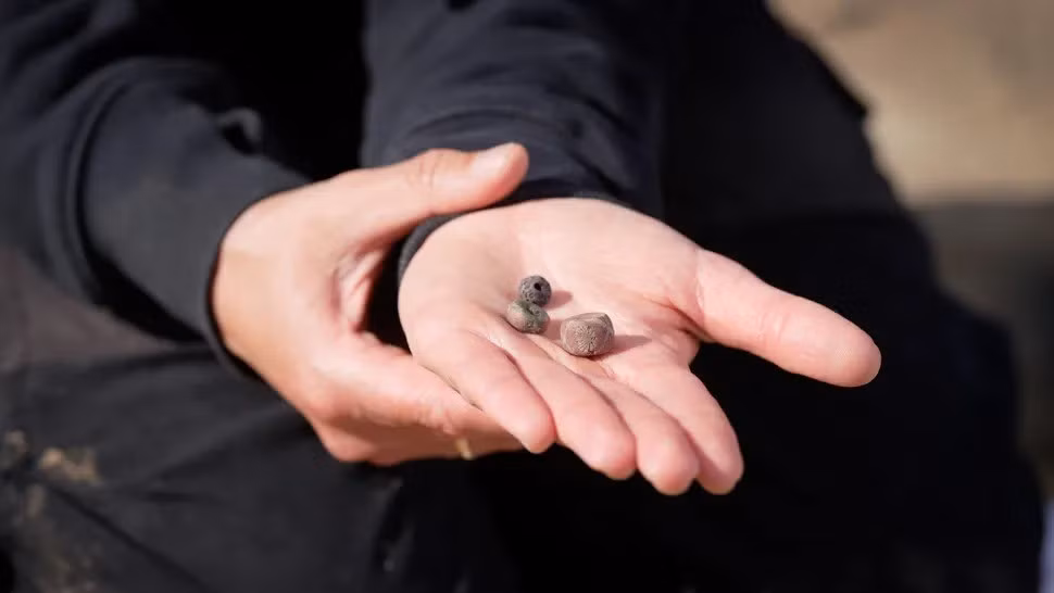 Theo Bảo tàng Moesgaard - đơn vị điều hành cuộc khai quật, bên trong những ngôi mộ này có chứa kho báu tùy táng giá trị gồm tiền xu, ngọc trai và đồ gốm. Ảnh: Moesgaard Museum.